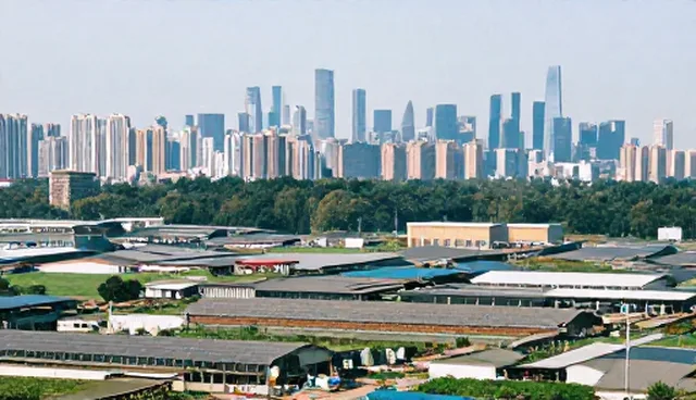管理软件实施中技术培训的两种做法及其取舍