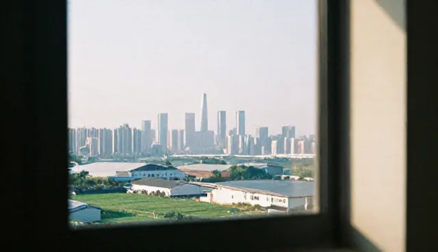 组织优化对软件研发效率的影响原因分析